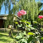 La Casa de Tita